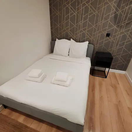 Appartement 1 Bedroom # Buttes Chaumont # 19
